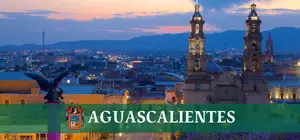 Vulcanizadoras Estado de Aguascalientes