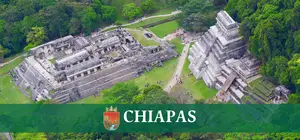 Vulcanizadoras Estado de Chiapas