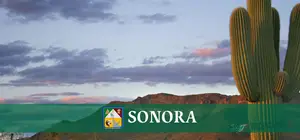 Vulcanizadoras Estado de Sonora